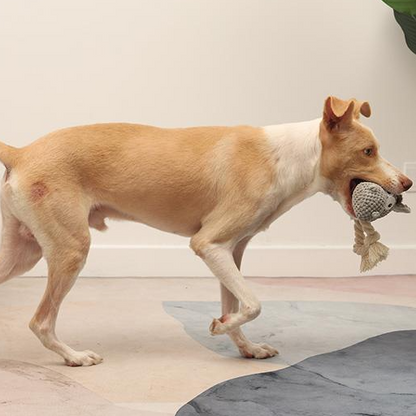 New Donkey-Grey Squeaky Toy for Pet Stress Relief